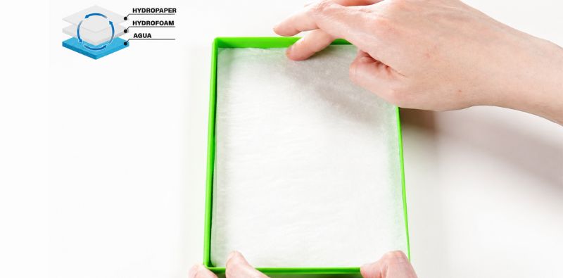 Einlegen des Papiers der GSW Nasspalette